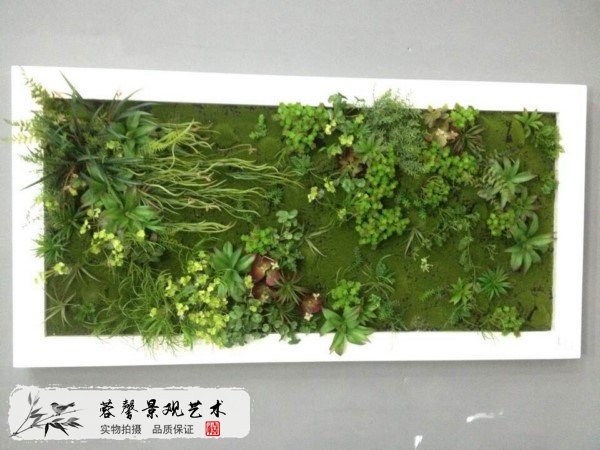 仿真多肉植物墙