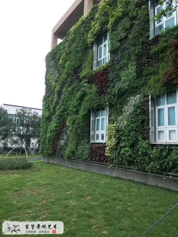 室外大型墙体垂直绿化案例-植物墙-蓉馨景观艺术