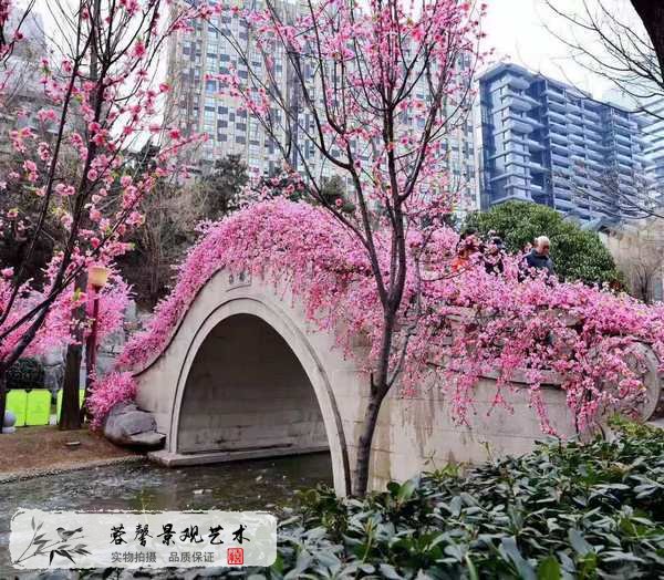 仿真桃花树造景