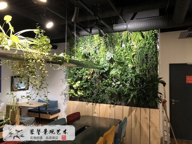 餐厅绿植墙