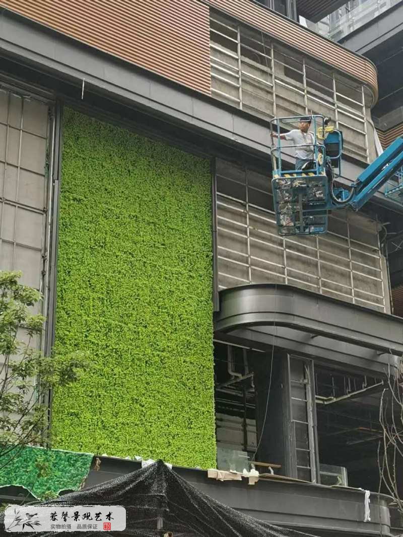 商业广场植物墙