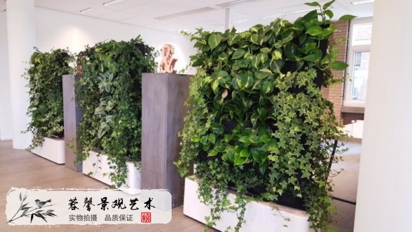 植物墙屏风