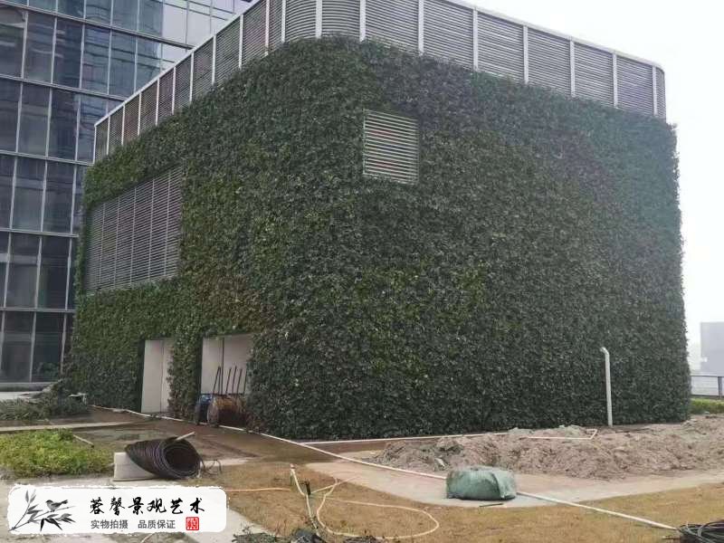 楼顶露台墙体植物墙