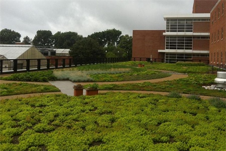 LG-Greenroof-2014_0.jpg